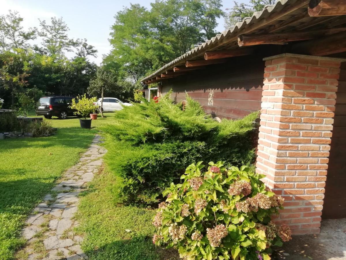 Un Bell Incontro Apartment Borgo Ticino Ngoại thất bức ảnh